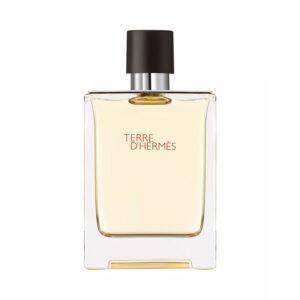 Hermès Terre d'Hermès Eau de Toilette perfume bottle